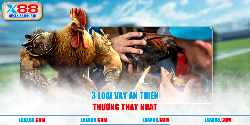 3 loại Vảy Án Thiên thường thấy nhất